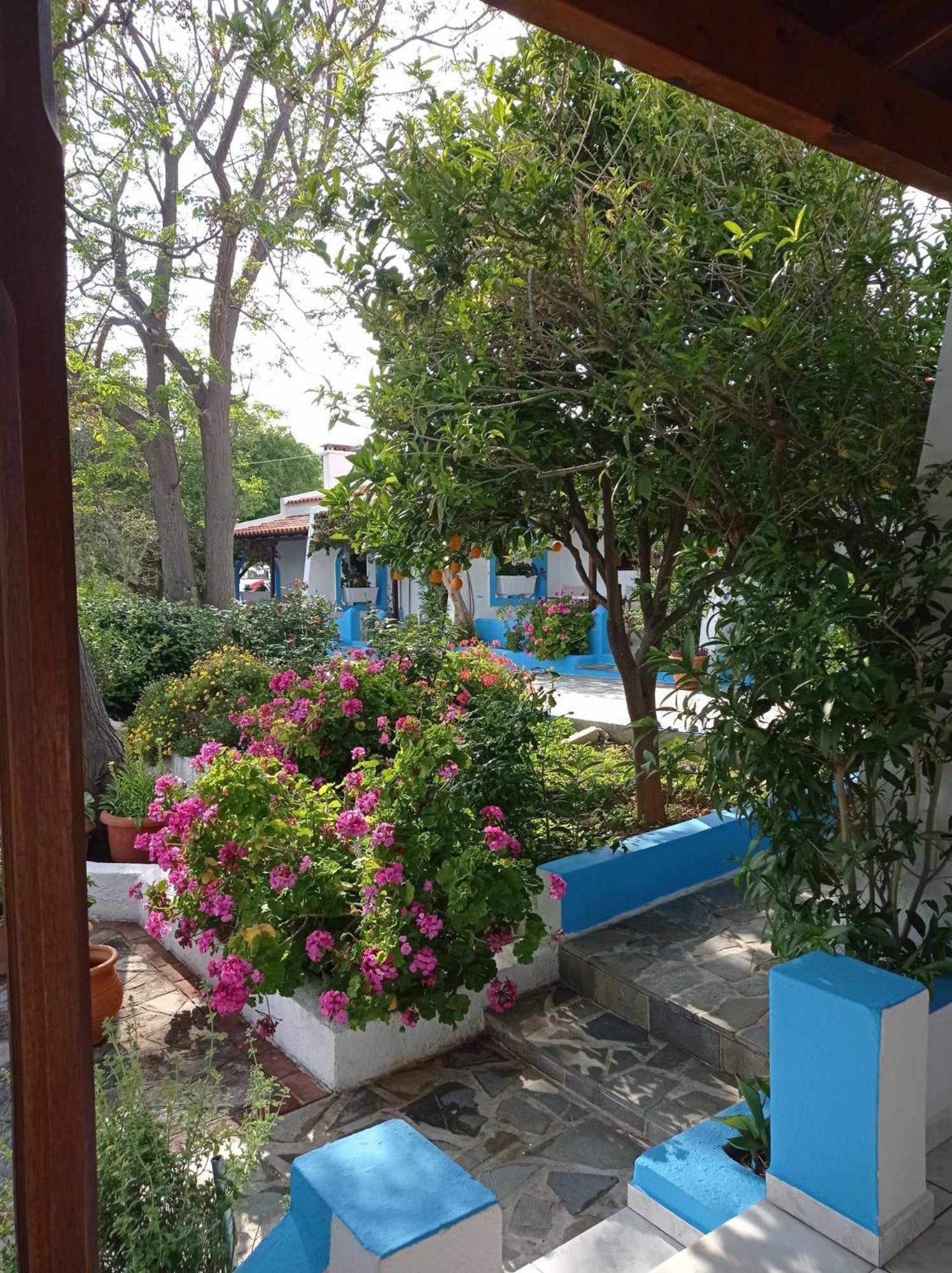 Studios Ioanna Limnionas Samos Marathokampos Exterior photo