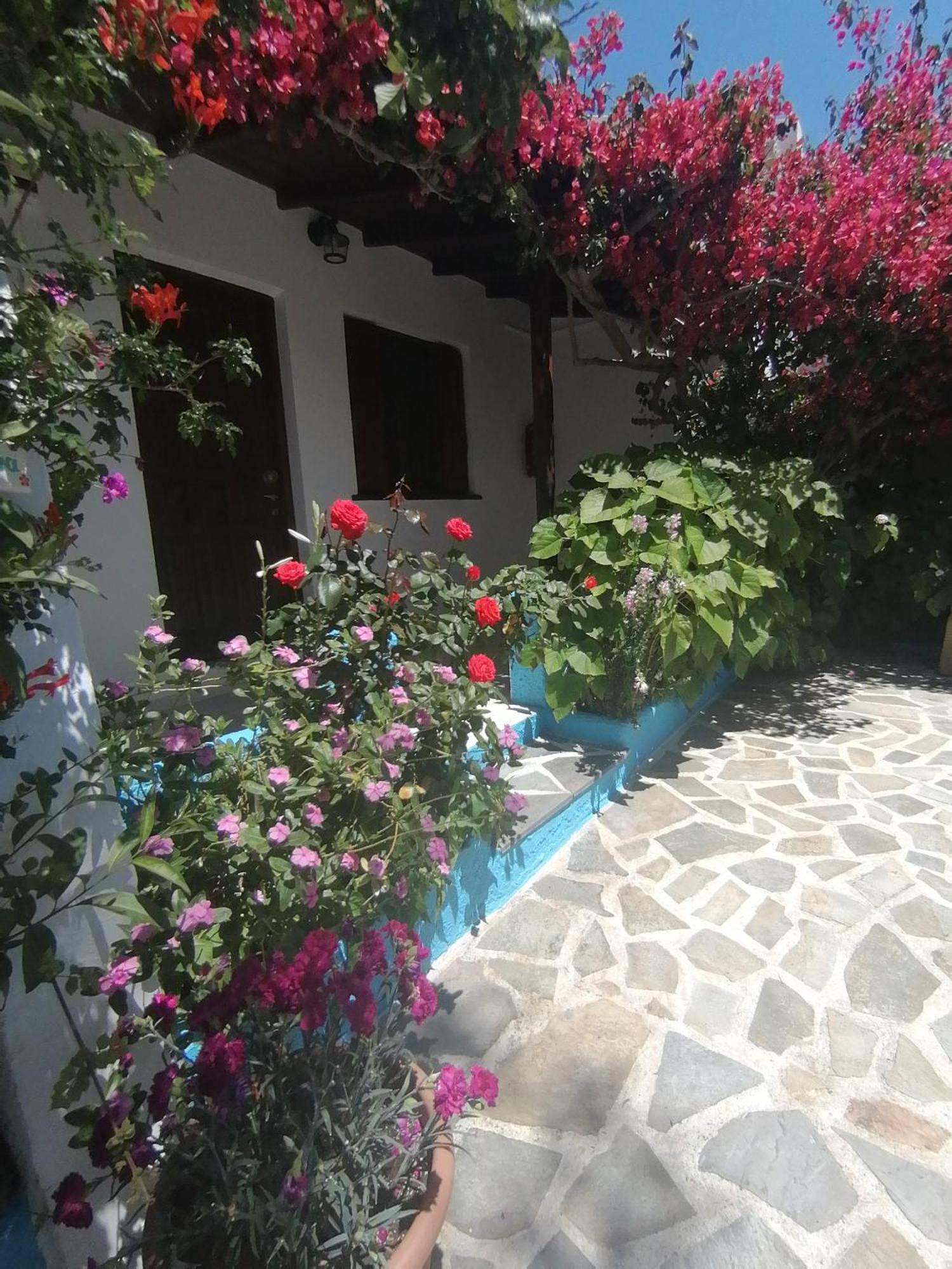 Studios Ioanna Limnionas Samos Marathokampos Exterior photo