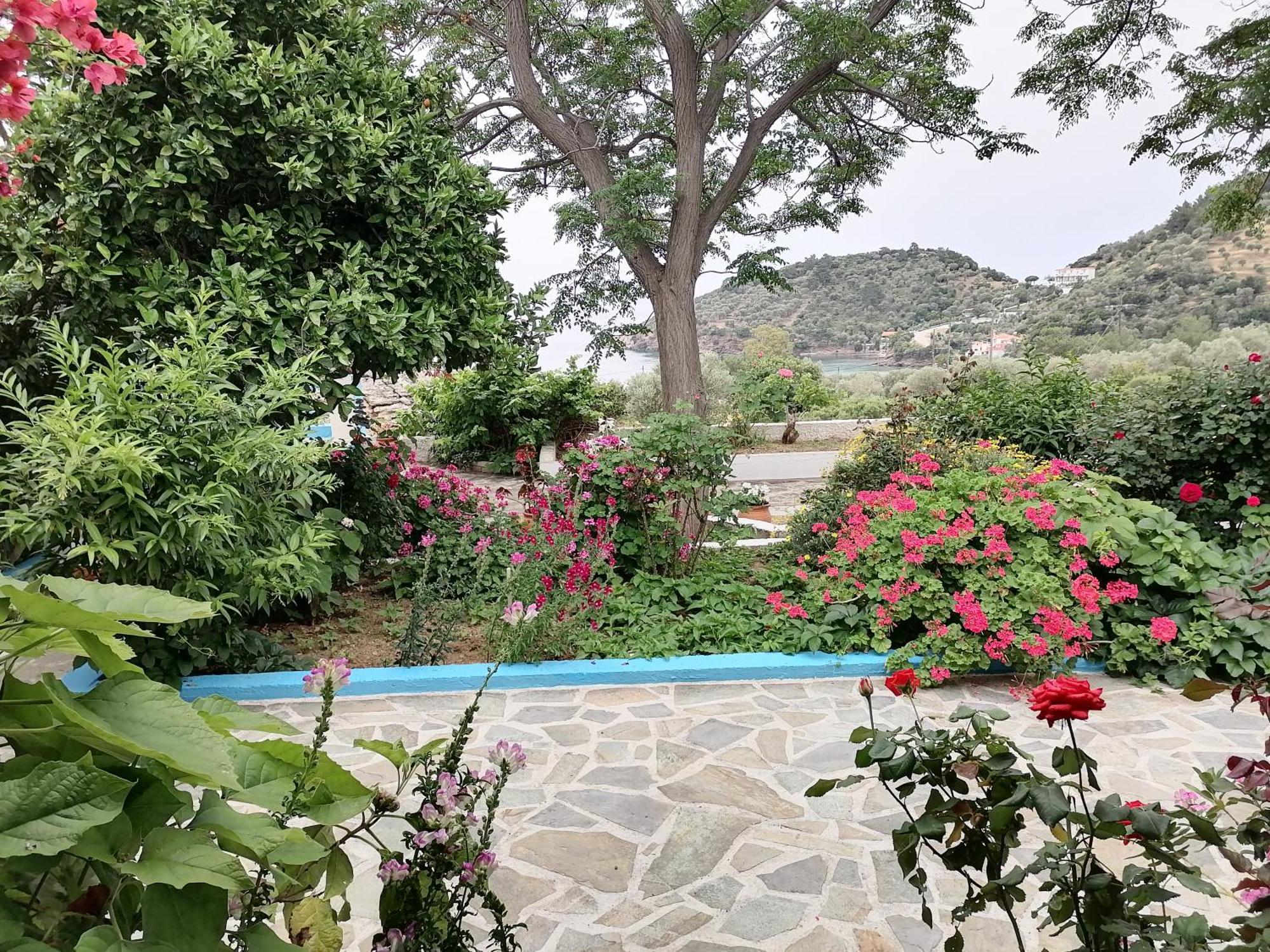 Studios Ioanna Limnionas Samos Marathokampos Exterior photo