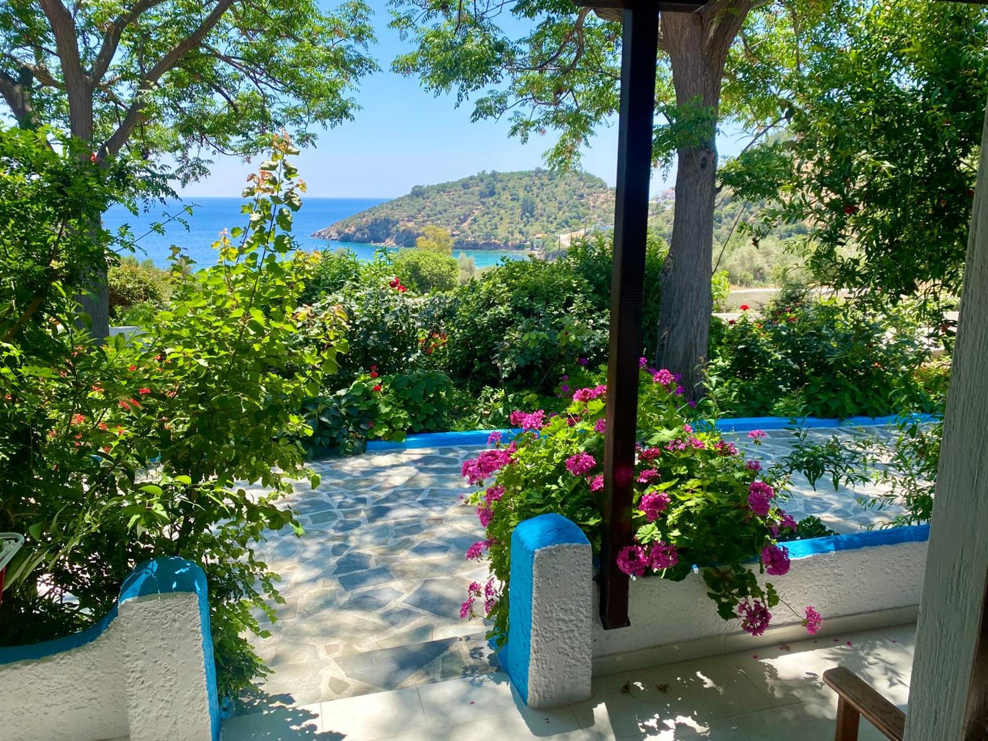 Studios Ioanna Limnionas Samos Marathokampos Exterior photo
