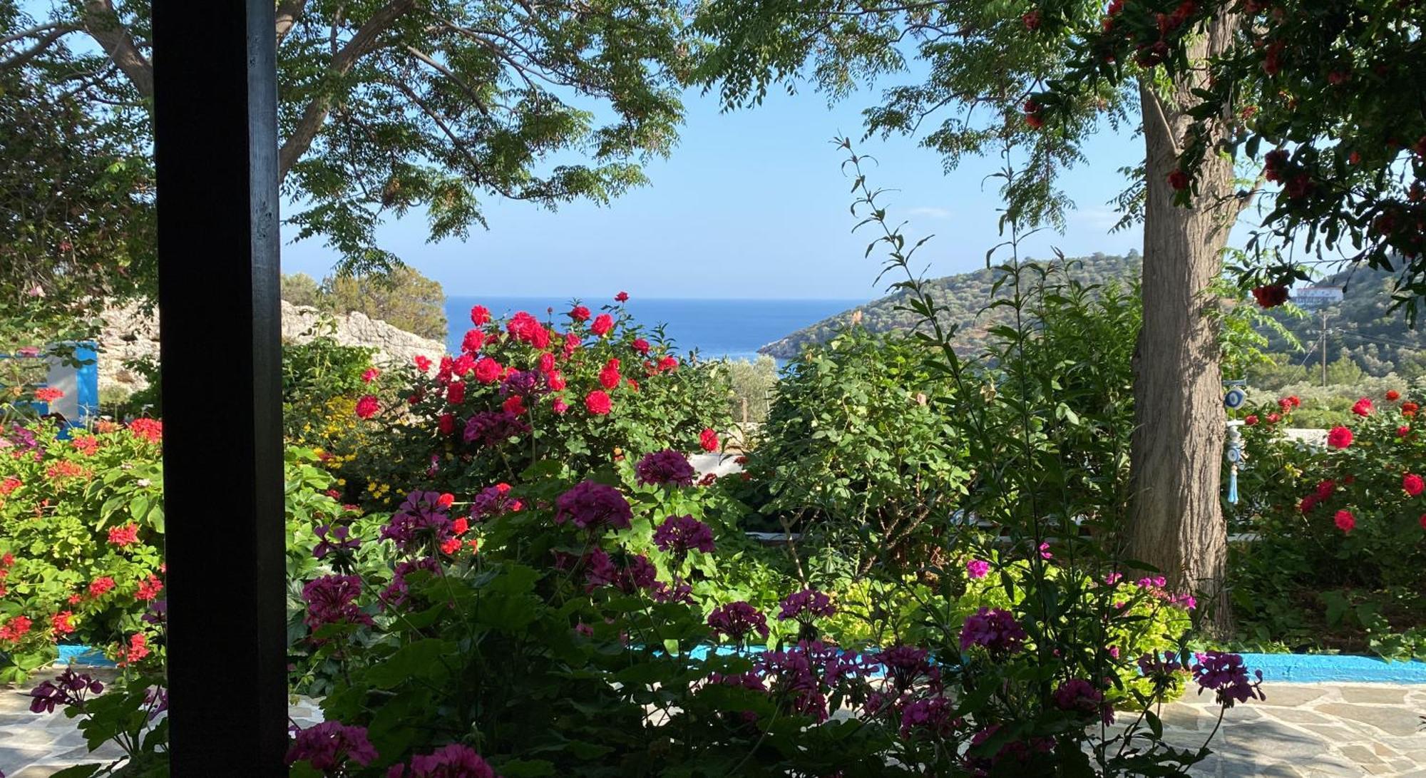 Studios Ioanna Limnionas Samos Marathokampos Exterior photo