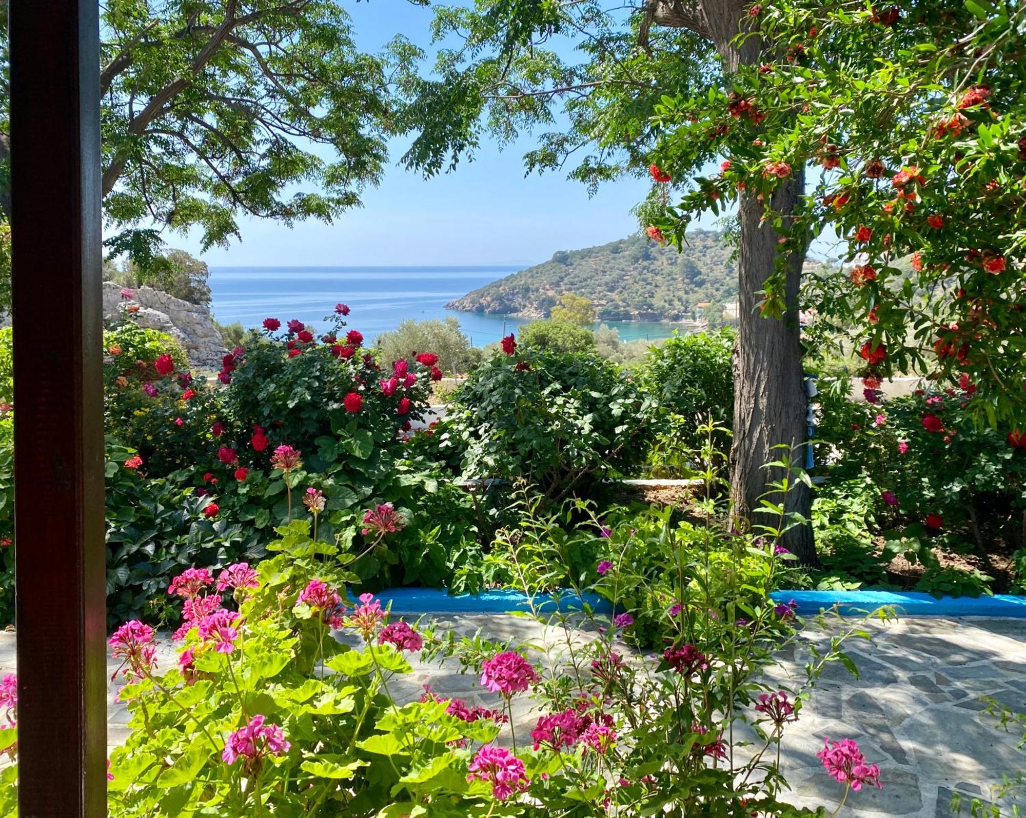 Studios Ioanna Limnionas Samos Marathokampos Exterior photo
