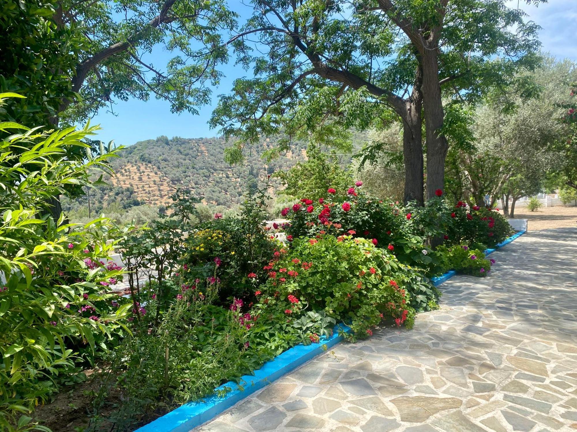 Studios Ioanna Limnionas Samos Marathokampos Exterior photo